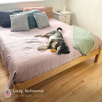 LizzyDec25